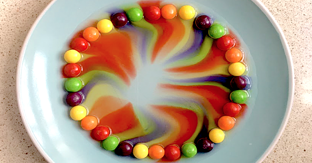 Skittles Experiment your Kids will Love | toucanBox