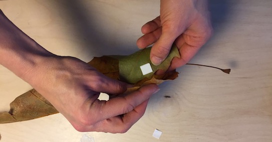 Use tape or glue to hold your leaves in place